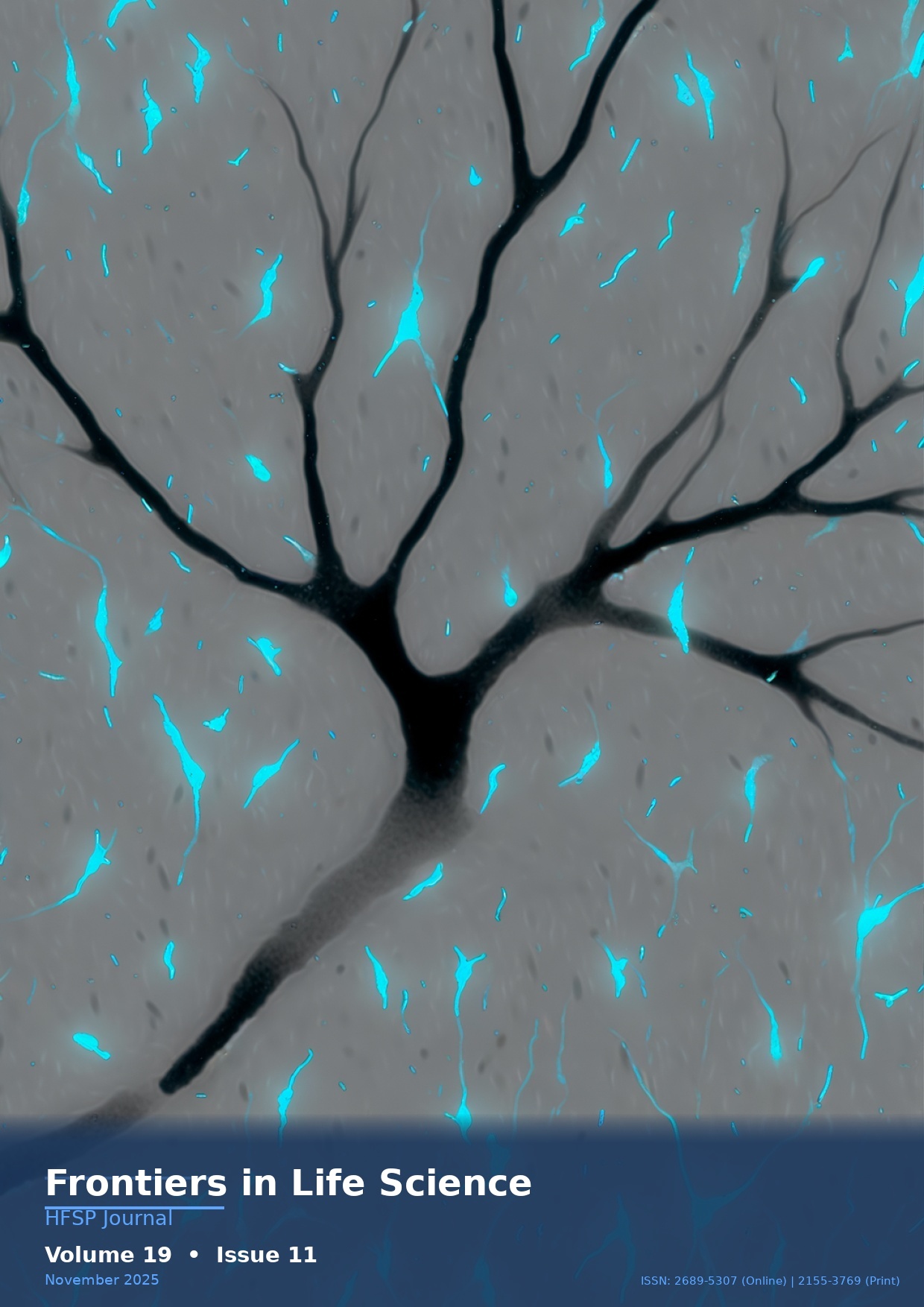 Cover - Volume 19, Issue 11