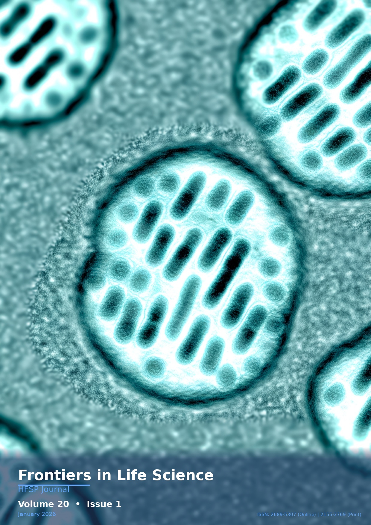 Frontiers in Life Science - Volume 20, Issue 1